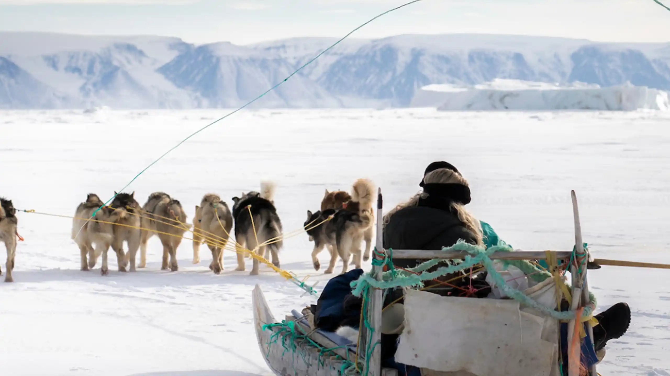 Dogsledding On Sea Ice Photo Aningaaq Rosing Carlsen Visit Greenland (1)
